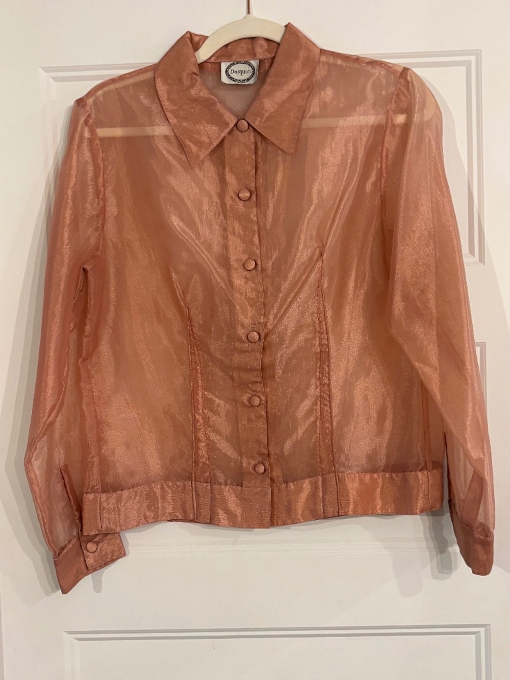 Vintage Daiquiri sheer organza blouse